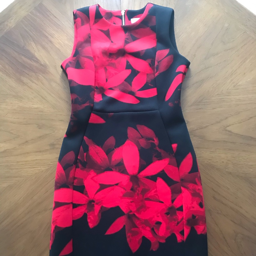 Black & Red Calvin Klein Dress